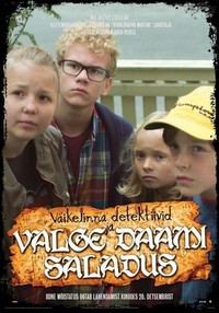 Väikelinna Detektiivid ja Valge Daami Saladus (2013) - poster