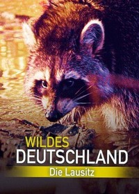 Wildes Deutschland - Die Lausitz (2013) - poster