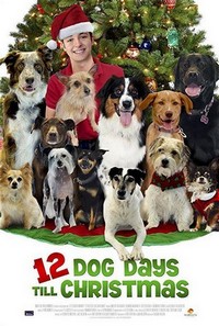 12 Dog Days of Christmas (2014) - poster