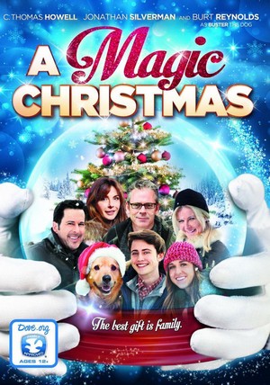 A Magic Christmas (2014) - poster