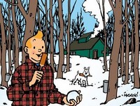 Au Québec avec Tintin (2014) - poster