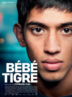 Bébé Tigre (2014) - poster