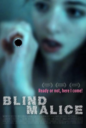 Blind Malice (2014) - poster