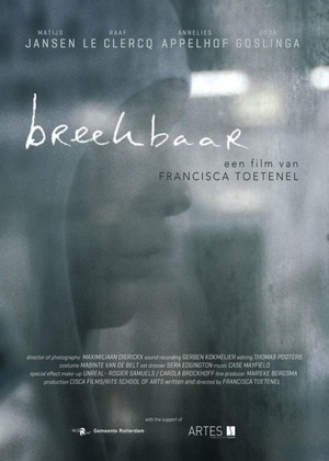 Breekbaar (2014) - poster