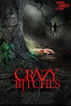 Crazy Bitches (2014) - poster