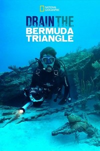 Drain the Bermuda Triangle (2014) - poster