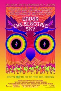 EDC 2013: Under the Electric Sky (2014) - poster