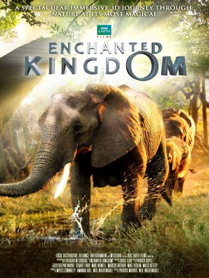 Enchanted Kingdom 3D (2014) - poster