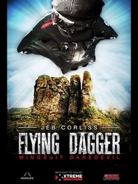 Flying Dagger (2014) - poster