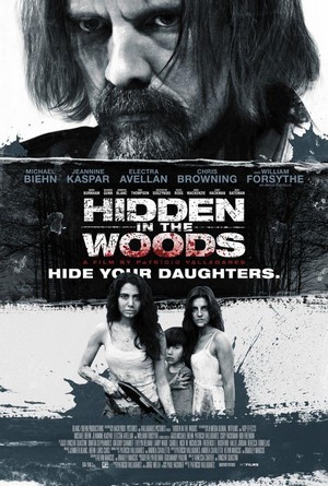 Hidden in the Woods (2014) - poster