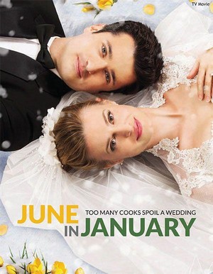 June in January (2014) - poster