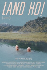 Land Ho! (2014) - poster