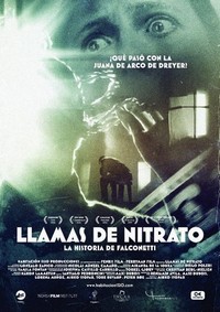 Llamas de Nitrato (2014) - poster