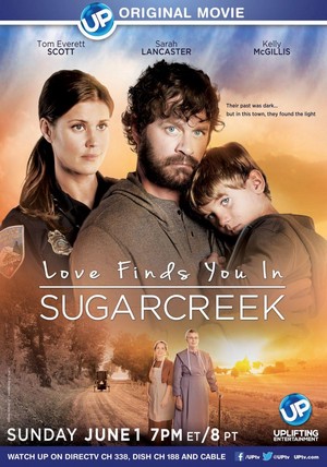 Love Finds You in Sugarcreek (2014) - poster