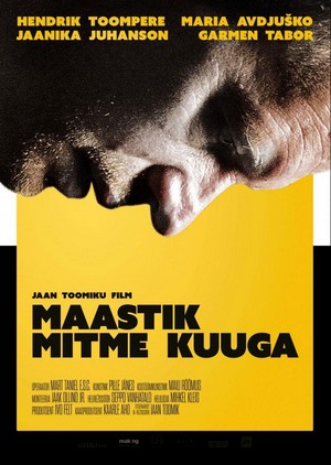 Maastik Mitme Kuuga (2014) - poster