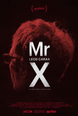 Mr. X (2014) - poster