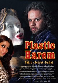 Plastic Harem (2014) - poster