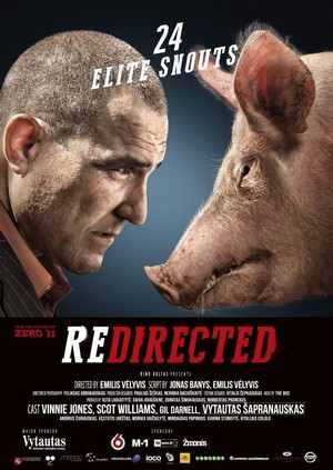Redirected (2014) - poster