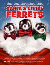 Santa's Little Ferrets (2014) - poster