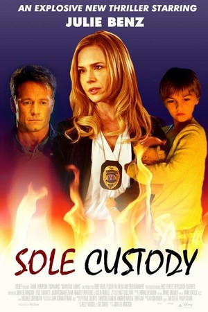 Sole Custody (2014) - poster