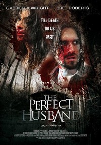 The Perfect Husband (2014) - poster