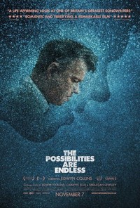 The Possibilities Are Endless (2014) - poster