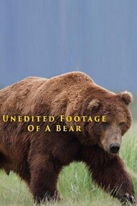 Unedited Footage of a Bear (2014) - poster