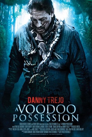Voodoo Possession (2014) - poster