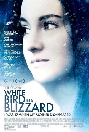 White Bird in a Blizzard (2014) - poster