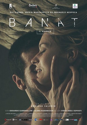 Banat - Il Viaggio (2015) - poster
