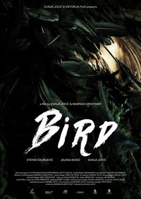 Bird (2015) - poster