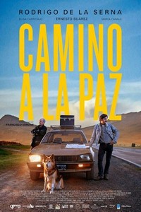 Camino a la Paz (2015) - poster