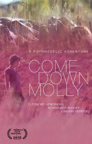 Come Down Molly (2015) - poster