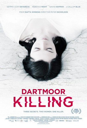 Dartmoor Killing (2015) - poster