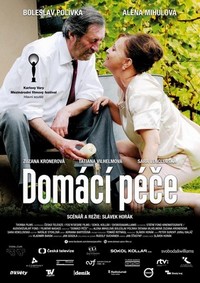 Domácí Péce (2015) - poster