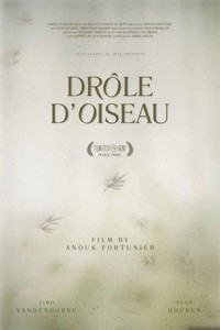 Drôle d'Oiseau (2015) - poster