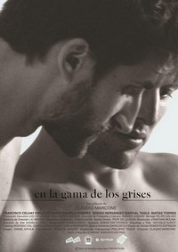 En la Gama de los Grises (2015) - poster