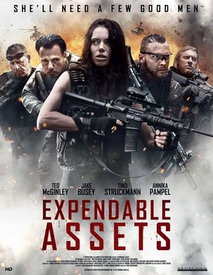Expendable Assets (2015) - poster