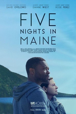 Five Nights in Maine (2015) - poster