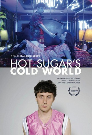 Hot Sugar's Cold World (2015) - poster