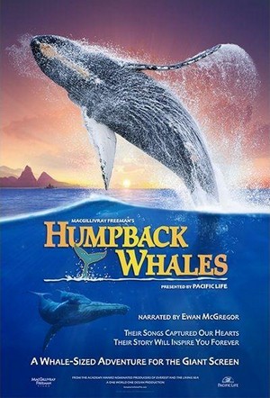 Humpback Whales (2015) - poster