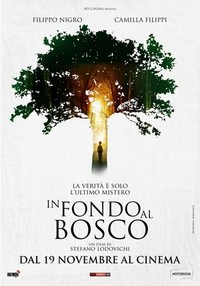 In Fondo al Bosco (2015) - poster