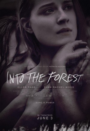 Into the Forest (2015) - poster