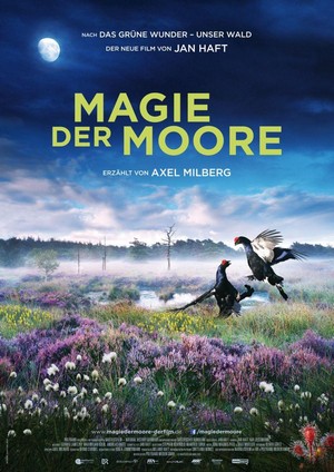 Magie der Moore (2015) - poster