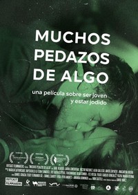 Muchos Pedazos de Algo (2015) - poster