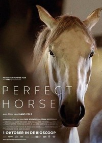 Perfect Horse (2015) - poster