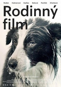 Rodinny Film (2015) - poster