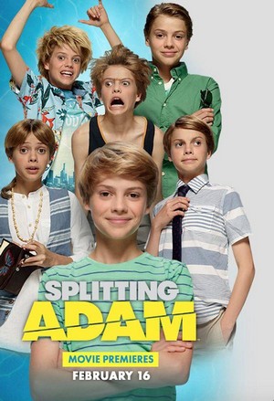 Splitting Adam (2015) - poster