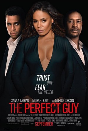 The Perfect Guy (2015) - poster