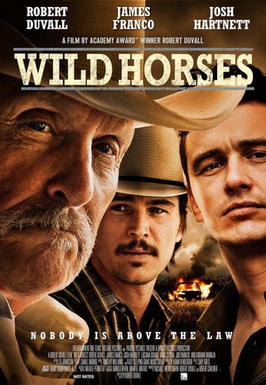 Wild Horses (2015) - poster